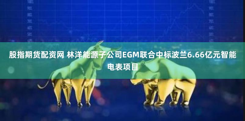 股指期货配资网 林洋能源子公司EGM联合中标波兰6.66亿元智能电表项目