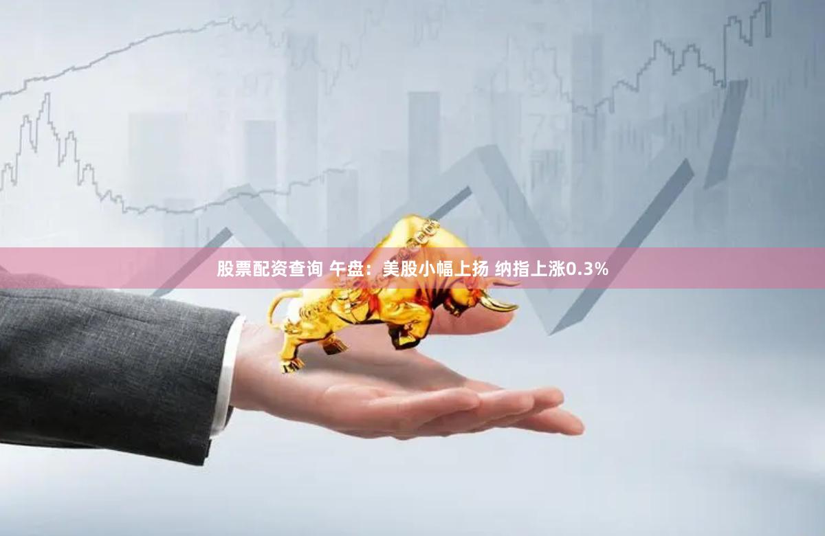 股票配资查询 午盘：美股小幅上扬 纳指上涨0.3%