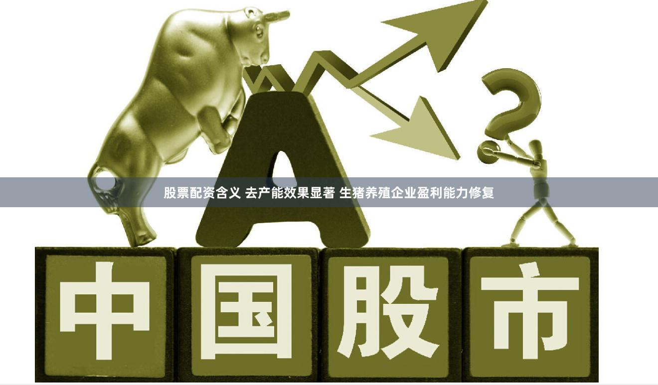 股票配资含义 去产能效果显著 生猪养殖企业盈利能力修复
