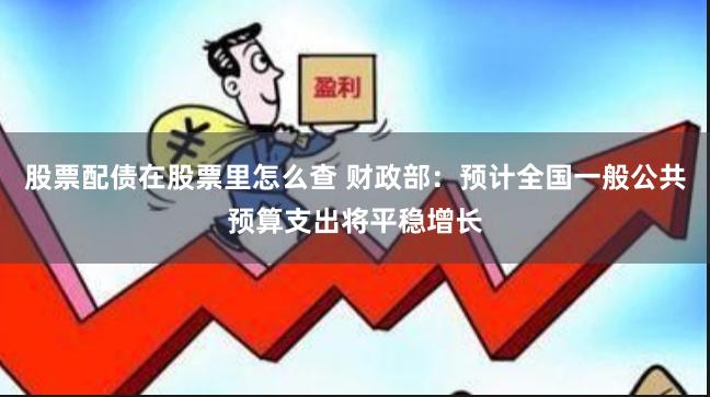 股票配债在股票里怎么查 财政部：预计全国一般公共预算支出将平稳增长