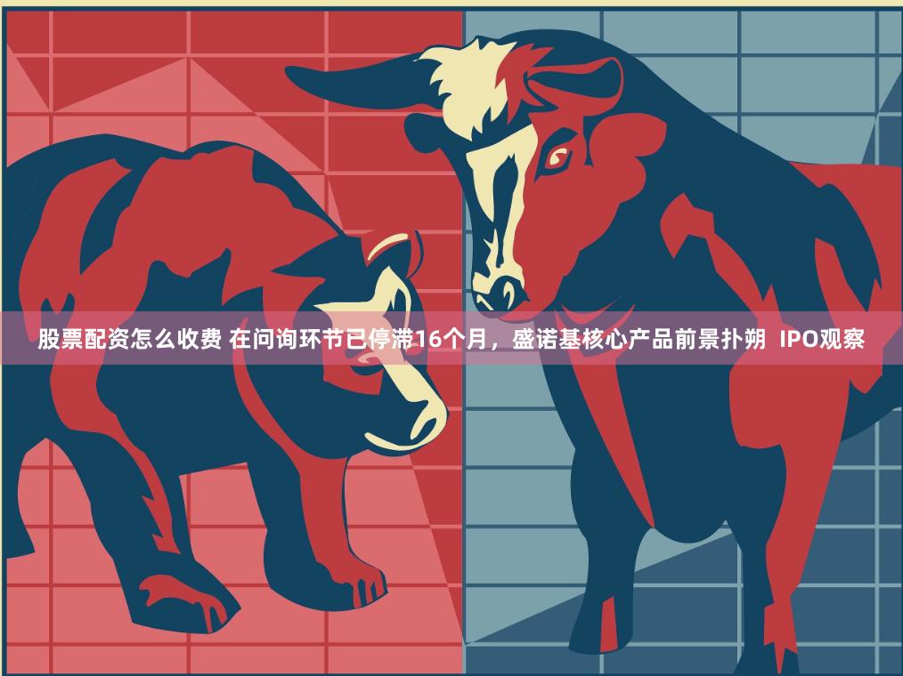 股票配资怎么收费 在问询环节已停滞16个月，盛诺基核心产品前景扑朔  IPO观察