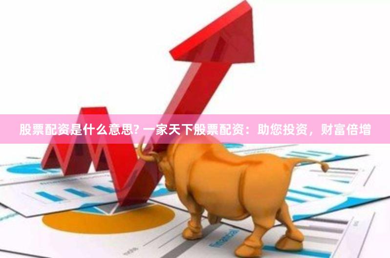 股票配资是什么意思? 一家天下股票配资：助您投资，财富倍增