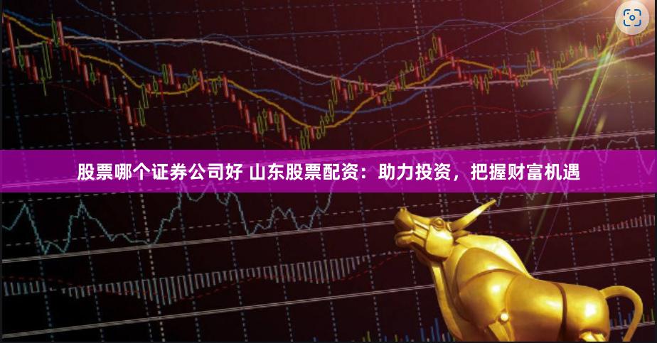 股票哪个证券公司好 山东股票配资：助力投资，把握财富机遇